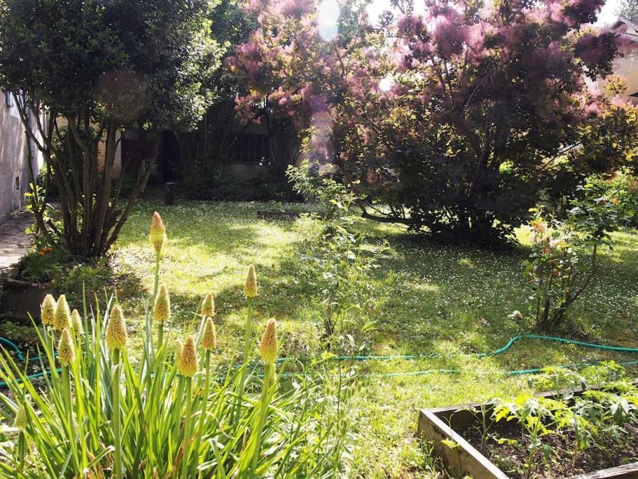Le 7 Des Tonneliers Bed and Breakfast Castelfranc Exteriör bild